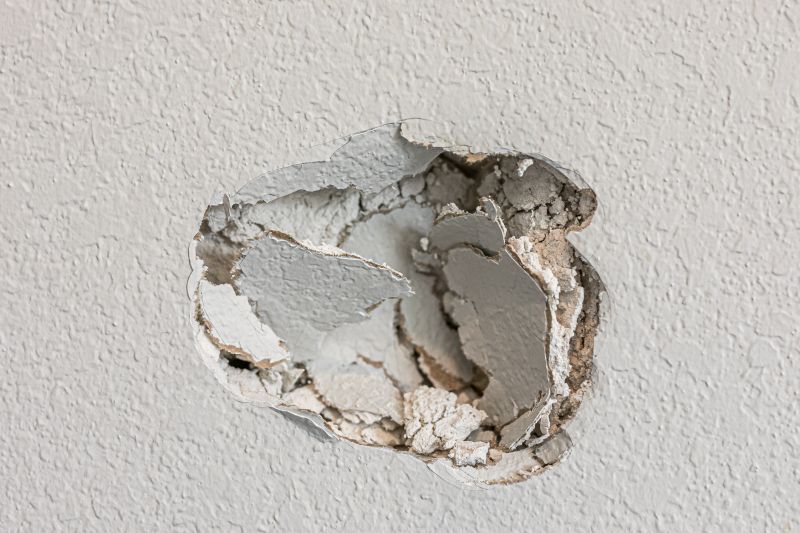 Plaster Wall Repair
